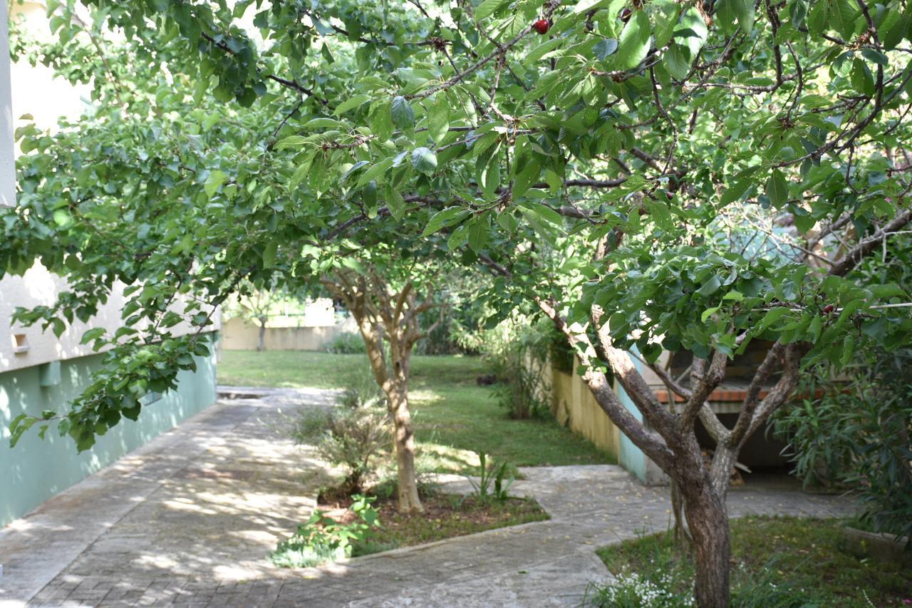 Apartments Antonija Punta Skala Next To Falkensteiner Resort Petrcane Buitenkant foto