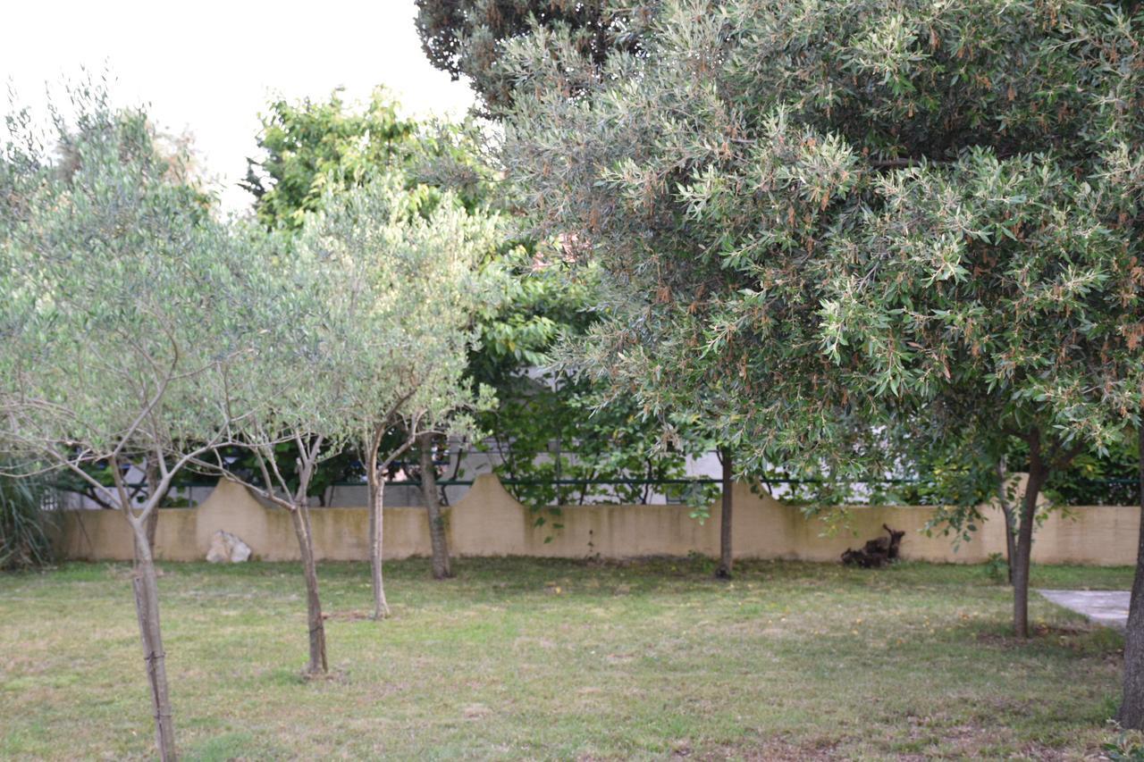 Apartments Antonija Punta Skala Next To Falkensteiner Resort Petrcane Buitenkant foto